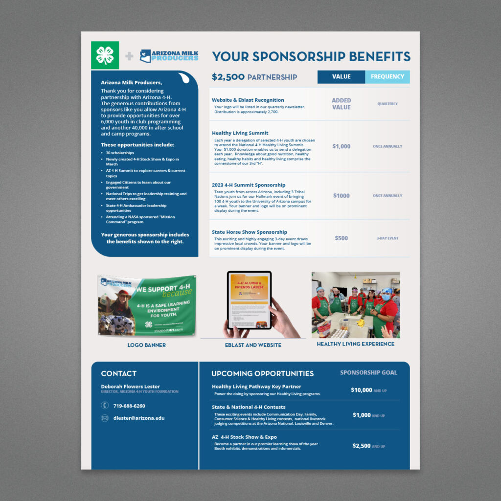 Sponsorship_01