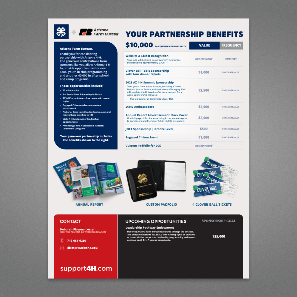 Sponsorship_02
