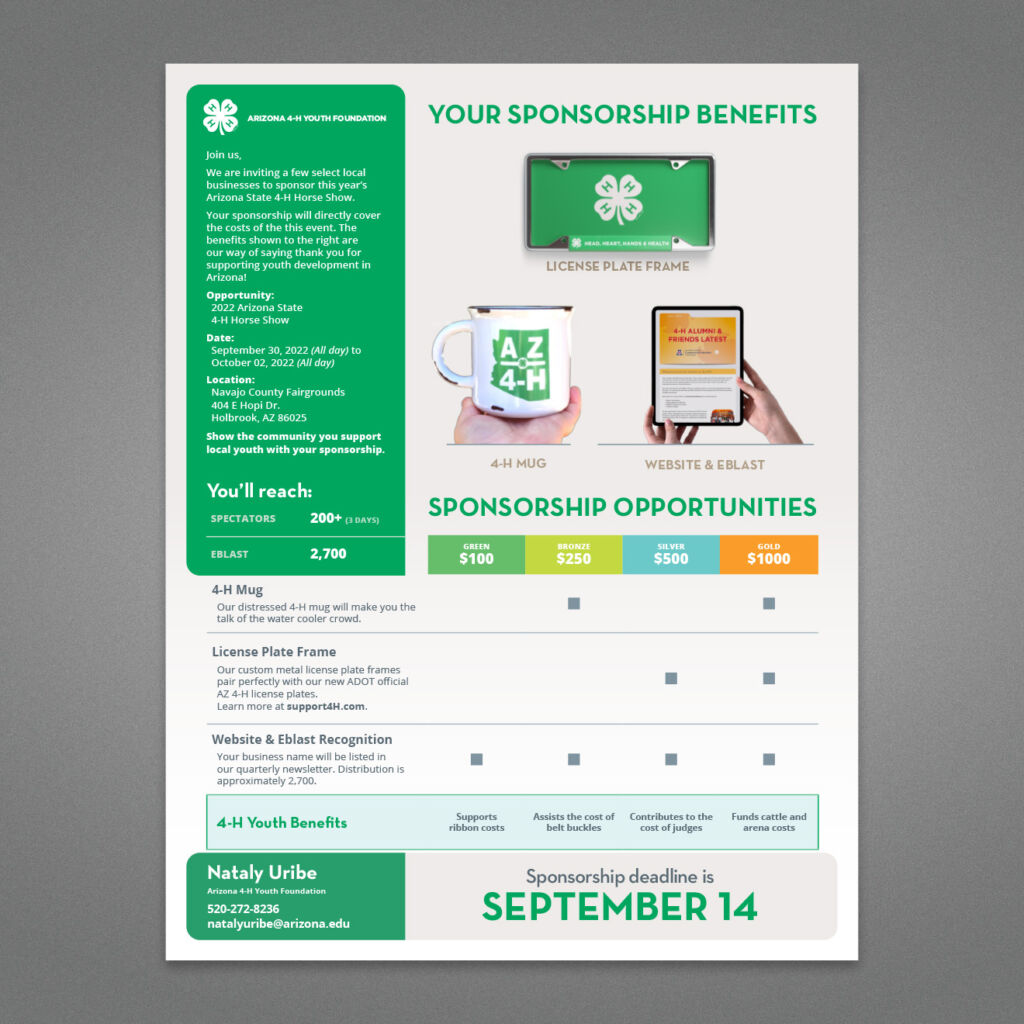 Sponsorship_06